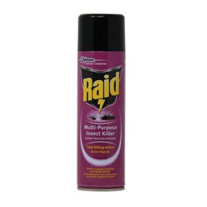 RAID INSECT KILLER